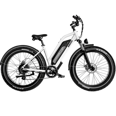Bicicletă electrică Himiway D3 Cruiser Step-Thru - 250W putere | 15Ah baterie | 15.5mph viteză | 60mi gamă