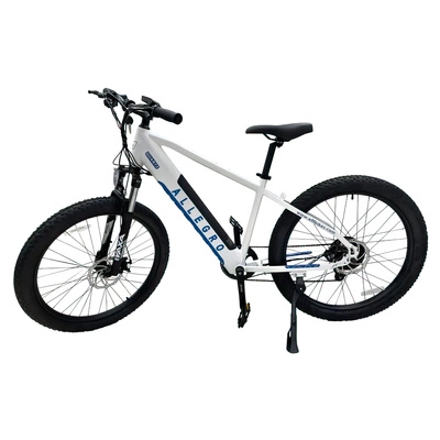 Allegro City Cruiser Ebike 500W 36V 13Ah biciclete electrice