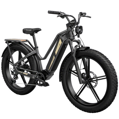 Bicicleta electrică Fiido Titan - Putere 750W | Baterie 14.5Ah | Viteză 28mph | Autonomie 84mi