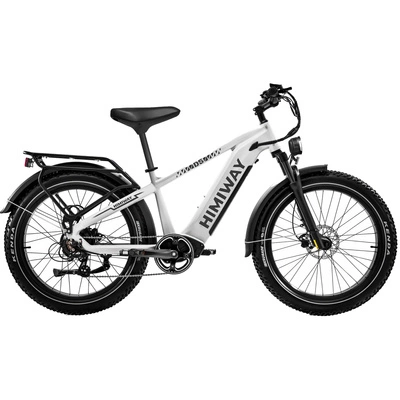 Himiway D5 Zebra High-Step Electric Bike - 250W putere | 20Ah baterie | 15.5mph viteză | 80mi Range